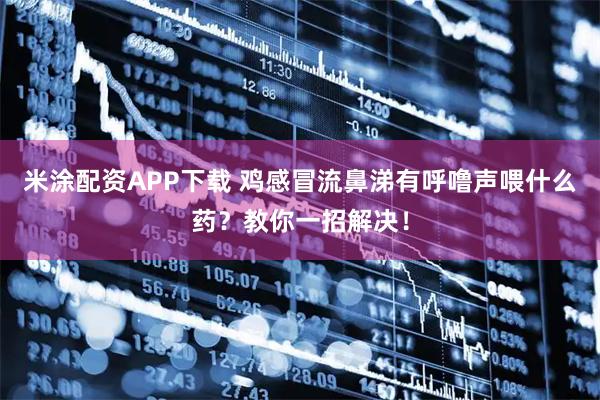 米涂配资APP下载 鸡感冒流鼻涕有呼噜声喂什么药？教你一招解决！
