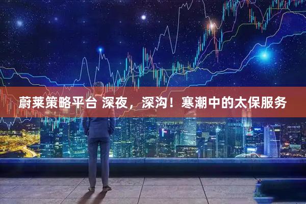 蔚莱策略平台 深夜，深沟！寒潮中的太保服务