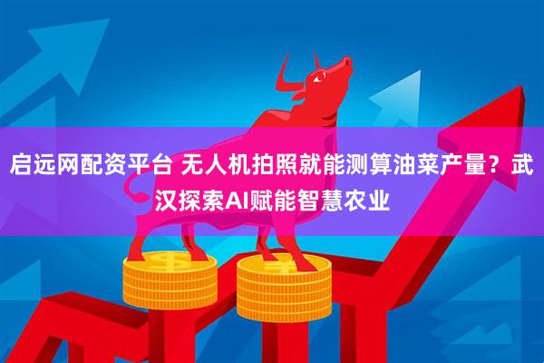 启远网配资平台 无人机拍照就能测算油菜产量？武汉探索AI赋能智慧农业